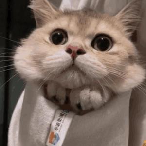 18🈲流白浆❌❌舌吻
